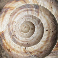 Spirale